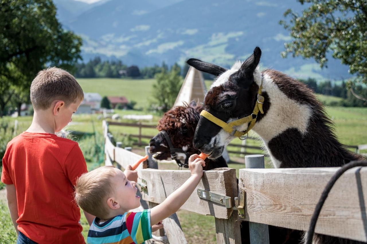 Chalet-karwendel * Terfens